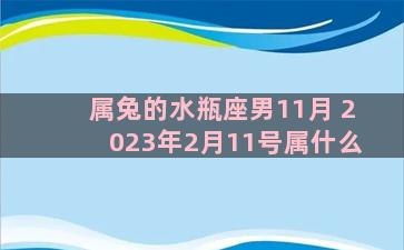 属兔的水瓶座男11月 2023年2月11号属什么